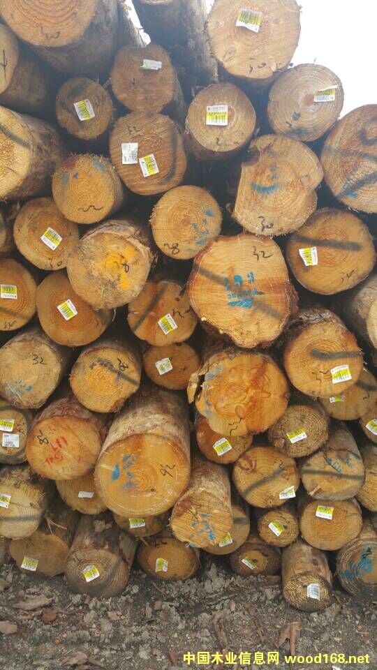 �����mݗ����