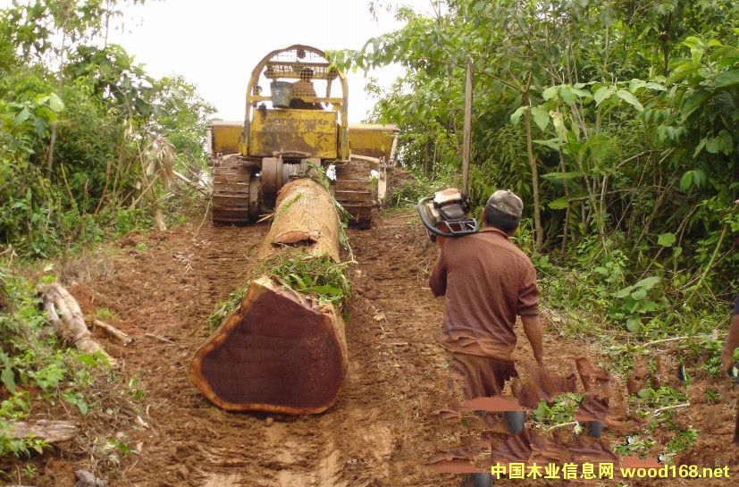 ԽľĮa(chn)I(y)D(zhun)Mm(x)Щ