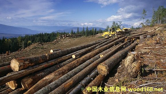 ںͼôľQ(mo)ב(zhn)