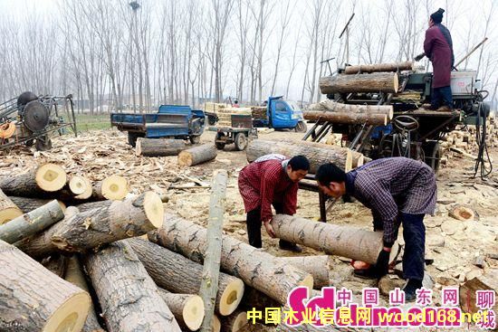 ƽh(zhn)l(f)չrľļӹ׌roe