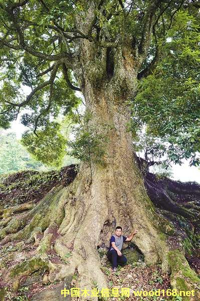 ؑcF(xin)zľȺ ľI8_r22׷