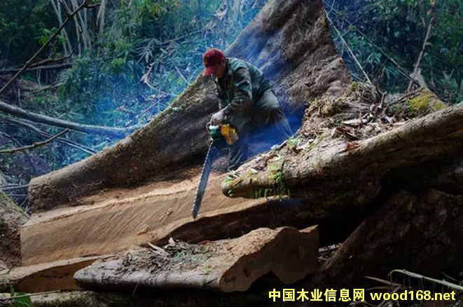 ϓ뾳(ni)ѽ(jng)ҲĴt֦ԭ(sh)