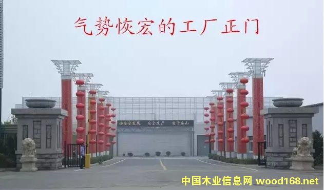 ɭ•ɯ񡪡(sh)ľĵA͑׃