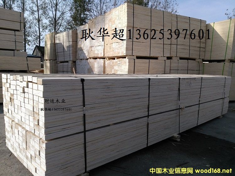 SֱNNҎ(gu)zϰ LVL ӰԔB