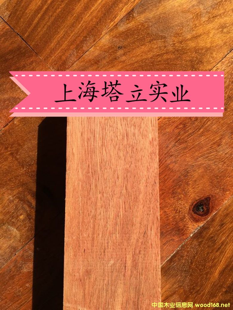 tľĈ@־^ذyľڂҵԔ(x)B