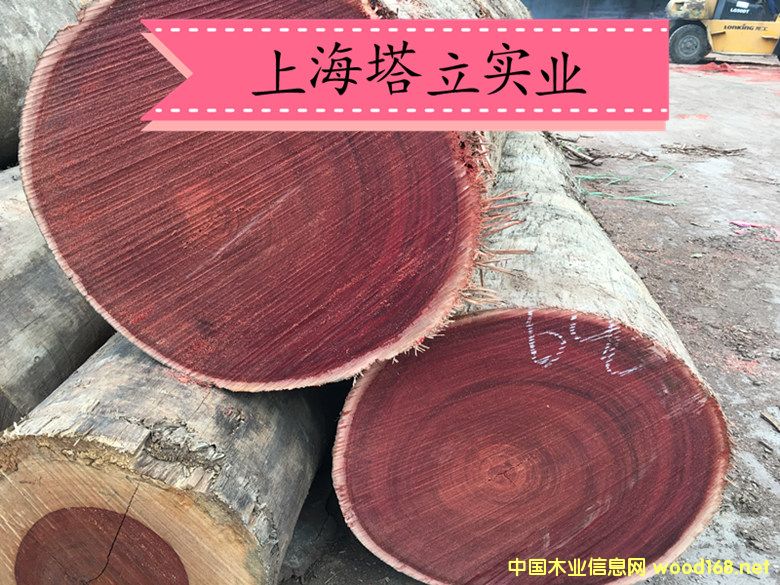 tľ Ħ ẗ́ľ ľذԔ(x)B