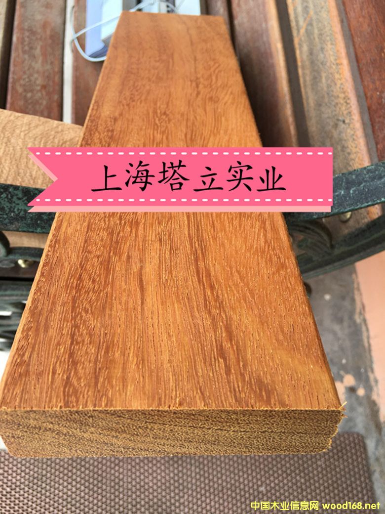  ޲}ľM(jn)ľļӹԔ(x)B