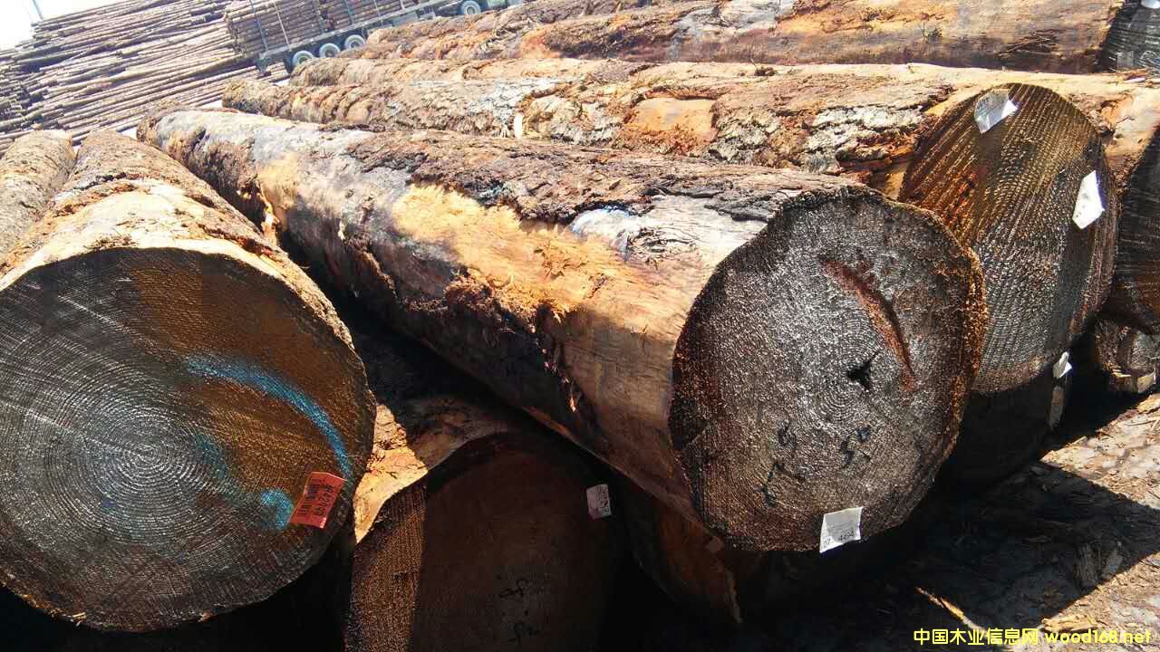 ԭľ󏽱ĵԔ(x)B