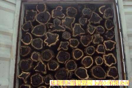 VǞľM(jn)ڈ(bo)P(gun)