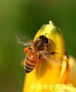 ?zh)r(nng)I(y)ЙC(j)ʳƷr?zh)?yng)