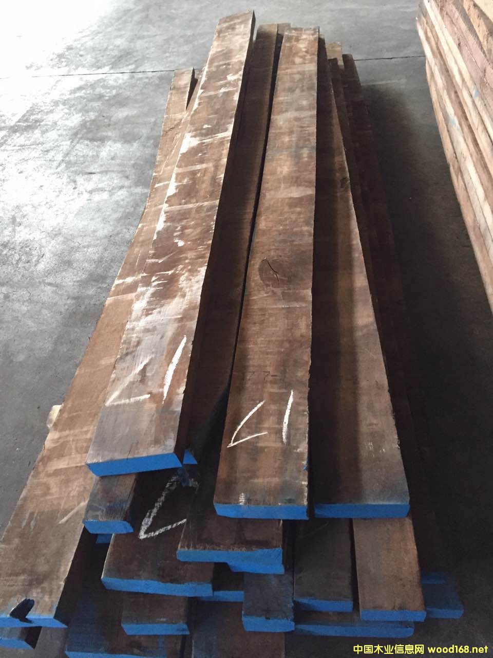 黑胡桃的詳細(xì)介紹