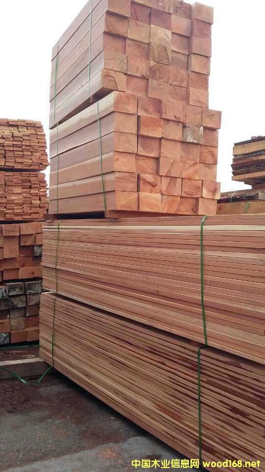 柳桉木的詳細(xì)介紹