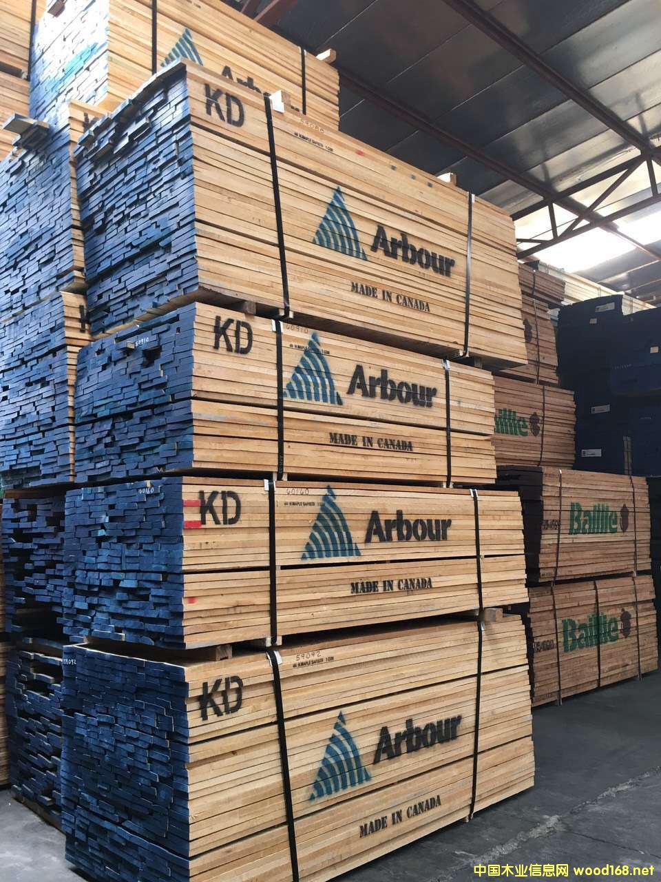 ľľľtľľԔ(x)B