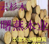 [] ôɼľԭľľľ