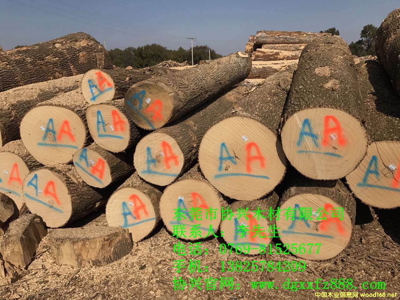 WްϞ?zi)ԭ?  border=