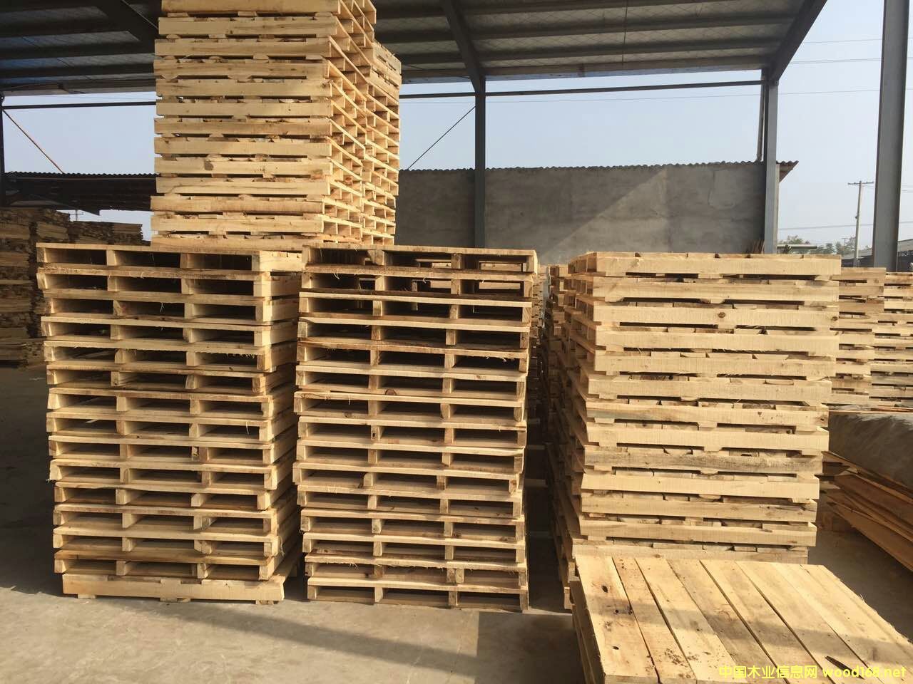 (sh)ľбPľ塢܇ľ塢}D(zhun)l(f)