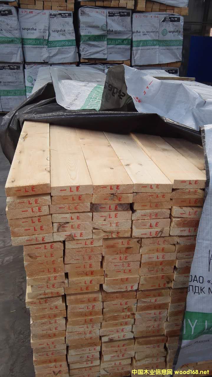 樟子松的詳細(xì)介紹