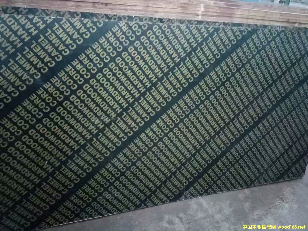 һγ18mm ĤzϰԔ(x)B