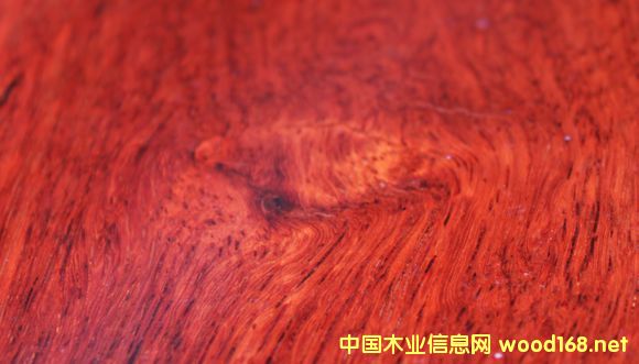 tľòļ(x)ľ̴B̴ă(yu)ȱc