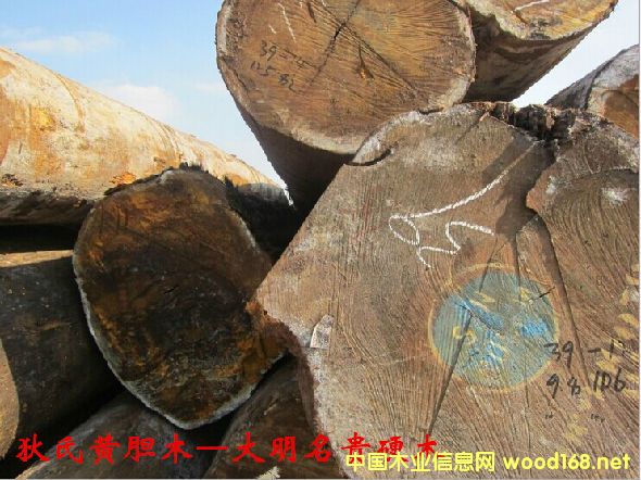 ľĘNԔ--Sđľ  ׷Q: ͵ľӼ{̴