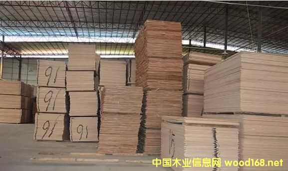 ľЈR?q)ܵˆ?><br>
                      <font size=3><b>ľЈR</b></font></a></div>
                  </td>
                </tr>
                 
              </table>
              
            </td>
          </tr>
          </tbody> 
        </table>
        <table border=0 cellspacing=0 cellpadding=0 width=