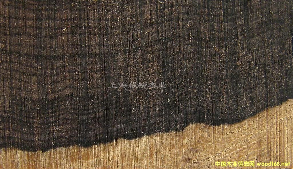 tľòļ(x)|ǺS̴ă(yu)ȱc(din)