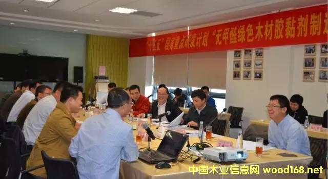 “無甲醛綠色木材膠黏劑制造關(guān)鍵技術(shù)研究”課題啟動會在豐林集團