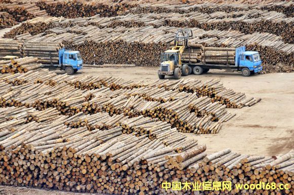 ̫}(cng)ۡҺMȿڰ_˹ԭľ(k)