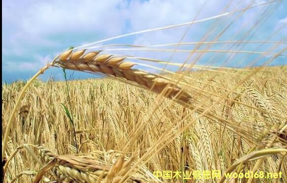 ҇(gu)նa(chn)I(y)ǰ