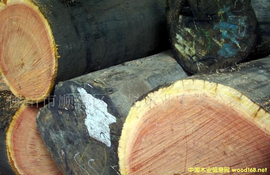 ʰ 𲻓Q ˹(ʰͶkempas)r(ji)