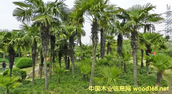 RľĹI(y)֣Ua(chn)ؘzϰ