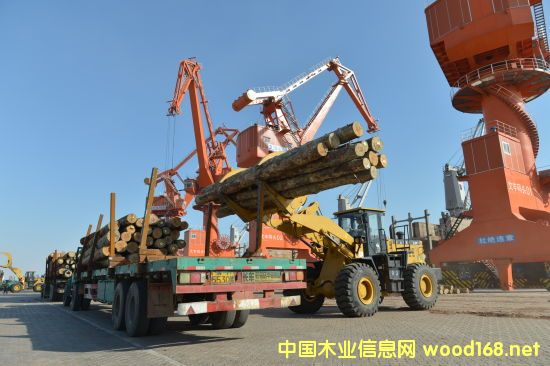 SľĴa^ 缉(j)ľļɢ