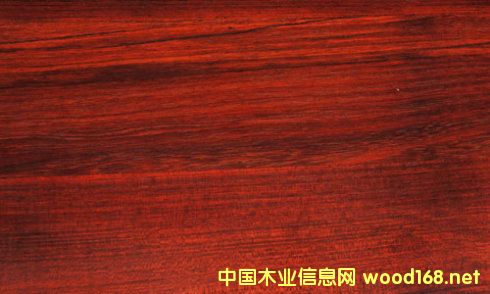 FӲľòļ(x)Fľ̴ă(yu)ȱc