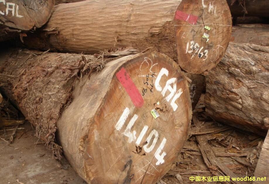 _T(mn)ľ-ǹCALCL ԭľ