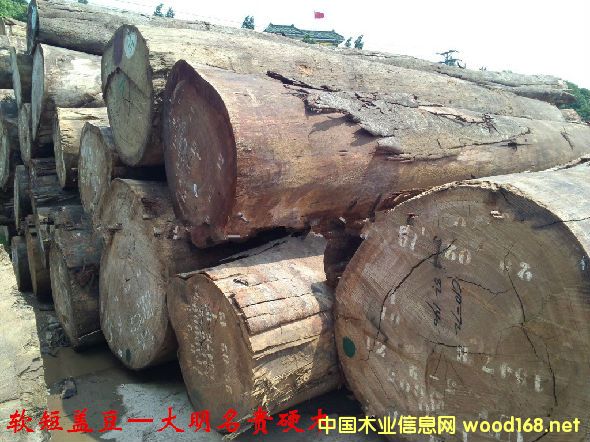 ľĘ(sh)NԔ--ܛwľ  ׷Q(chng)Sõzľ