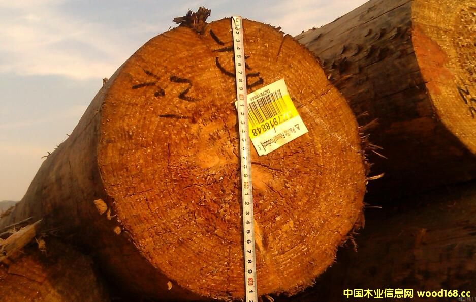 ľM(jn)ע⣺ݗɵԭľP(gun)¾aľĽߴ˅^(q)