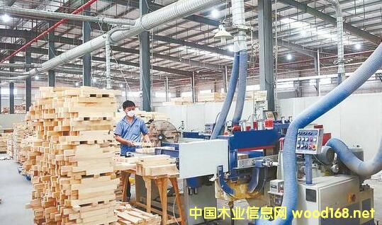 ƽMɇ(ni)M(jn)ܵľݘ(gu)҃(ni)Ҿa(chn)