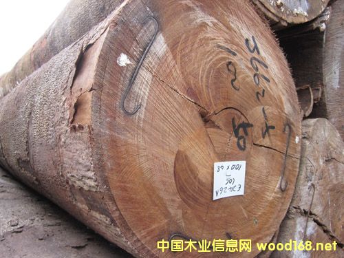 ZаԭľJATOBA\~Kľľ