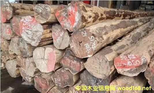 CITESs(gu)(hu)Ϣϓtֹ֦