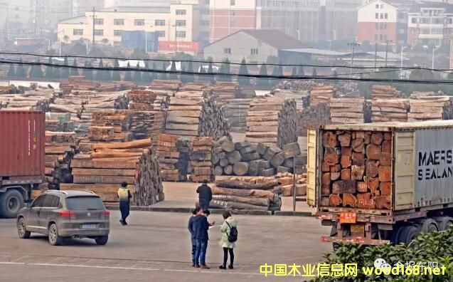 CITESҎ(gu)(zh) tľP(gun)y |(yng)tľЈ(chng)ӭ(li)ȥ(k)C(j)