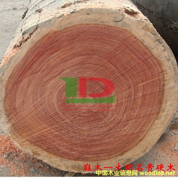 ľĘ(sh)NԔ--Ьľ  ׷QtõõRľtľ