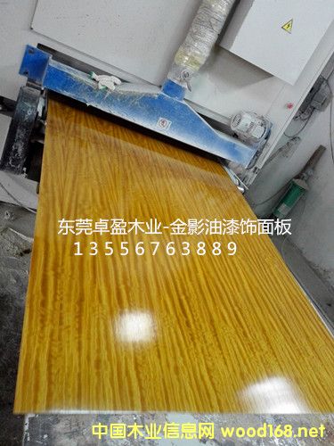 0.3ӰľƤӰƤӰԔ(x)B