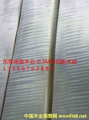 0.3ӰľƤӰľƤԔ(x)B