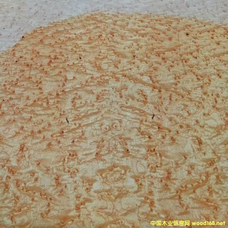 [] ľI(y)匣  ȻľȸľƵbC(j)