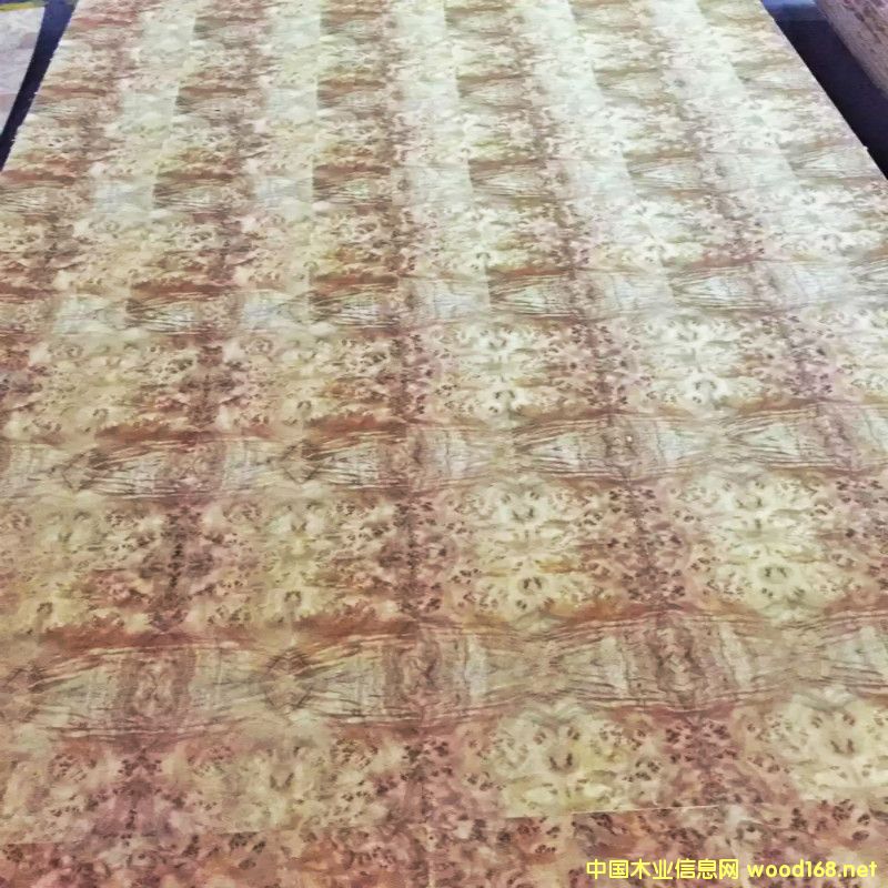 [] V|ֱN ؘľ ľN壬