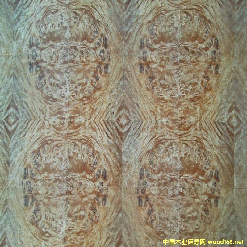 [] V|ֱN ؘľ ľN