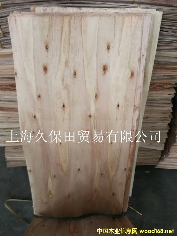 桉木單板的詳細(xì)介紹