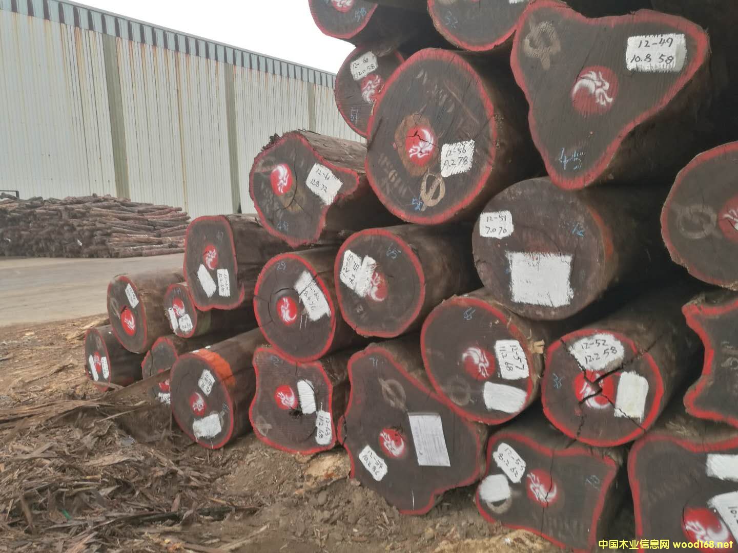 紅花梨的詳細介紹