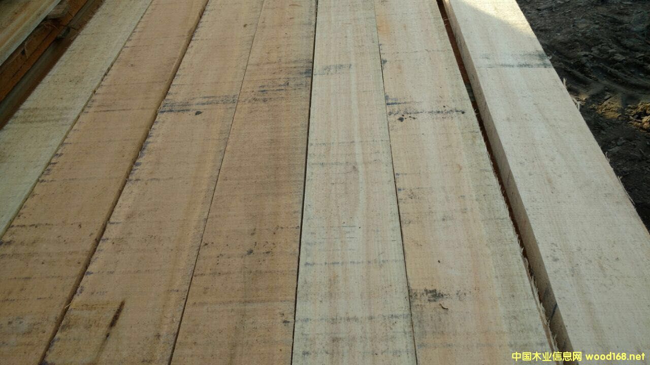 õľ F.A.S 피 o(ji)c(din)Ԕ(x)B