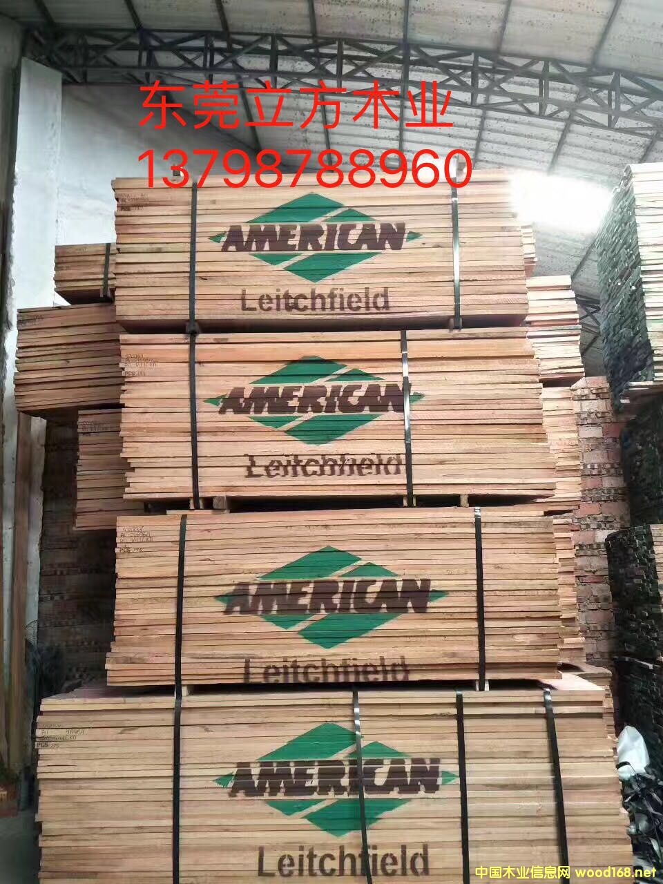 美國紅橡木的詳細(xì)介紹